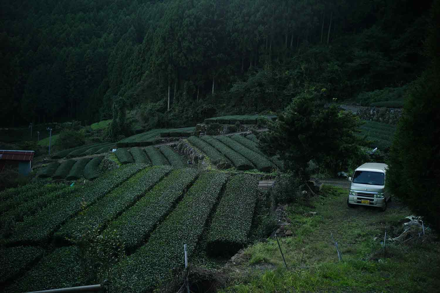 フレグラス